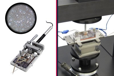 cover photo of a bioreactor, cells, and axial torsion test on tissue samples